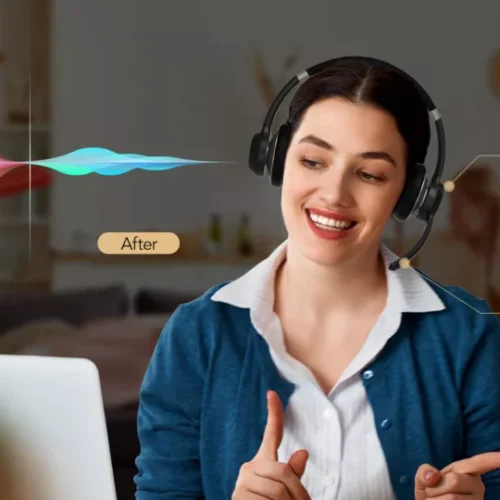 HP30 Bluetooth Wireless Headset